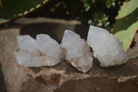 Natural White Spirit Quartz Crystals x 24 From Boekenhouthoek, South Africa