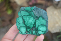 Polished Flower Banded Malachite Slices  x 24 From Congo - Toprock Gemstones and Minerals 