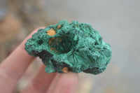 Natural Chatoyant Silky Malachite Specimens  x 12 From Kasompe, Congo - TopRock