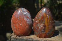 Polished Red Jasper Standing Free Forms  x 2 From Madagascar - Toprock Gemstones and Minerals 