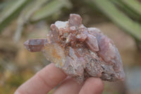 Natural Red Hematoid Quartz Specimens x 24 From Karoi, Zimbabwe