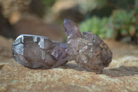 Natural Single Window Amethyst Crystals  x 12 From Chiredzi, Zimbabwe