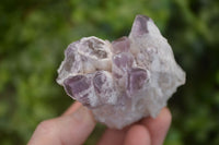 Natural Sugar Amethyst Clusters  x 12 From Solwezi, Zambia - Toprock Gemstones and Minerals 