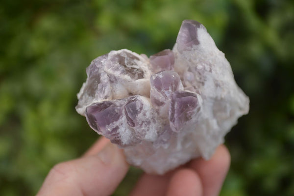 Natural Sugar Amethyst Clusters  x 12 From Solwezi, Zambia - Toprock Gemstones and Minerals 