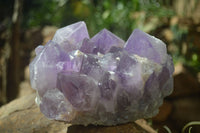 Natural Large Jacaranda Amethyst Cluster  x 1 From Mumbwa, Zambia - Toprock Gemstones and Minerals 