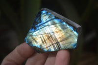 Polished One Side Polished Labradorite Pieces x 24 From Tulear, Madagascar