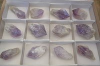 Natural Single Jacaranda Amethyst Crystals x 12 From Mumbwe, Zambia