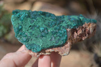 Natural Large Dioptase With Malachite Specimens x 2 From Likasi, Congo