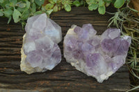 Natural Jacaranda Amethyst Clusters x 2 From Mumbwa, Zambia - TopRock