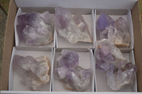 Natural Jacaranda Amethyst Clusters  x 6 From Mumbwa, Zambia - Toprock Gemstones and Minerals 