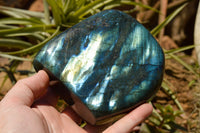 Polished Labradorite Standing Free Forms With Intense Blue & Gold Flash x 2 From Sakoany, Madagascar - TopRock