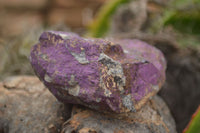 Natural Selected Rough Purpurite Specimens  x 6 From Namibia - TopRock