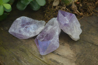 Natural Single Jacaranda Amethyst Crystals  x 12 From Mumbwe, Zambia - Toprock Gemstones and Minerals 