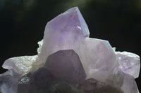 Natural Jacaranda Amethyst Clusters  x 3 From Mumbwa, Zambia - Toprock Gemstones and Minerals 