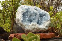 Natural Extra Large Celestite Geode With Large Cubic Crystals  x 1 From Sakoany, Madagascar - TopRock