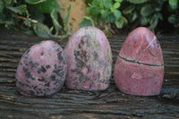 Polished Pink Rhodonite Standing Free Forms x 3 From Madagascar