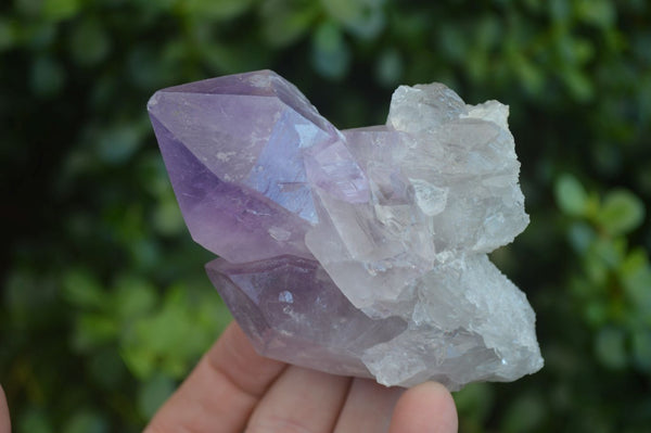 Natural Single Jacaranda Amethyst Crystals  x 12 From Mumbwe, Zambia - Toprock Gemstones and Minerals 