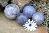 Polished Purple Lepidolite Mica Spheres  x 4 From Madagascar - TopRock