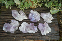 Natural Jacaranda Amethyst Clusters  x 6 From Mumbwa, Zambia - Toprock Gemstones and Minerals 