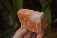 Natural New Sunset Orange Calcite Specimens  x 12 From Spitzkop, Namibia