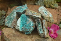 Natural Mixed Chrysocolla Dolomite Specimens (Some With Malachite) x 7 From Congo - TopRock