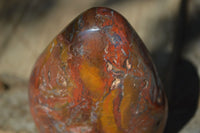 Polished Red Jasper Standing Free Forms  x 2 From Madagascar - Toprock Gemstones and Minerals 