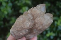 Natural White Phantom Smokey Quartz Clusters  x 3 From Luena, Congo - Toprock Gemstones and Minerals 