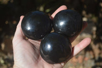 Polished Black Basalt Palm Stones  x 12 From Madagascar