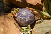 Polished Purple Lepidolite Mica Spheres  x 6 From Madagascar - TopRock