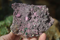 Natural Pink Salrose Cobaltion Dolomite Specimens x 6 From Kakanda, Congo