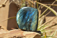 Polished Labradorite Standing Free Forms With Intense Blue & Gold Flash x 2 From Sakoany, Madagascar - TopRock