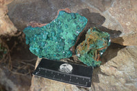 Natural Large Dioptase With Malachite Specimens x 2 From Likasi, Congo