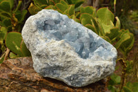 Natural Extra Large Celestite Geode With Large Cubic Crystals  x 1 From Sakoany, Madagascar - TopRock