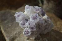 Natural Sugar Amethyst Clusters  x 4 From Solwezi, Zambia