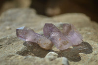 Natural Small Amethyst Crystals  x 70 From Chiredzi, Zimbabwe