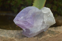 Natural Single Jacaranda Amethyst Crystals  x 12 From Zambia - Toprock Gemstones and Minerals 