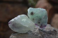 Natural Rough Watermelon Fluorite Cobbed Specimens  x 35 From Namibia