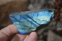 Polished One Side Polished Labradorite Pieces x 24 From Tulear, Madagascar