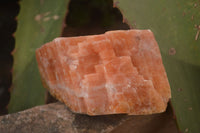 Natural New Sunset Orange Calcite Specimens  x 12 From Spitzkop, Namibia