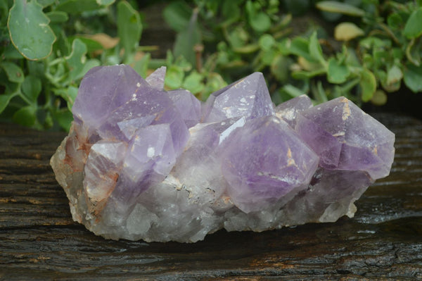 Natural Jacaranda Amethyst Cluster x 1 From Mumbwa, Zambia - TopRock