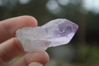 Natural Single Zambian Jacaranda Amethyst Points - Sold per 1.6 kg (24 points per tray) - From Mumbwa, Zambia - TopRock