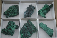 Natural Botryoidal Fibrous Malachite Specimens  x 6 From Kasompe, Congo - TopRock