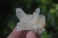 Natural Small Clear Quartz Crystal Specimens  x 35 From Madagascar