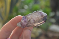 Natural Single Window Amethyst Crystals  x 12 From Chiredzi, Zimbabwe