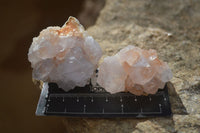 Natural White Spirit Quartz Crystals x 24 From Boekenhouthoek, South Africa