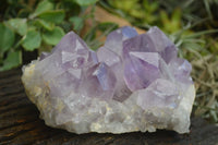 Natural Jacaranda Amethyst Clusters x 2 From Mumbwa, Zambia - TopRock