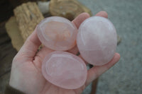 Natural Large Gemmy Pink Rose Quartz Palm Stones  x 12 From Madagascar - Toprock Gemstones and Minerals 