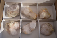 Natural Spirit Cactus Flower Quartz Clusters x 6 From Boekenhouthoek, South Africa