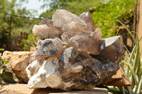 Natural XXL Self Healed Smokey Quartz Cluster  x 1 From Mt. Mulanje, Malawi - TopRock