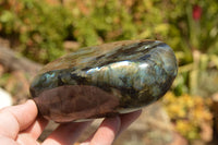 Polished Labradorite Standing Free Forms With Intense Blue & Gold Flash x 2 From Sakoany, Madagascar - TopRock